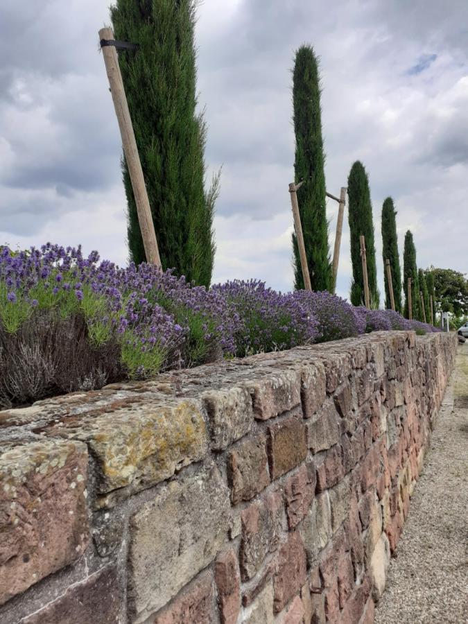 Das Landhotel Weingut Gernert 圣马丁 外观 照片